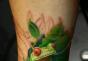 Значение татуировки лягушка Тату лягушка значение для девушек