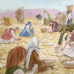 Манна небесная — значение фразеологизма, библейская история